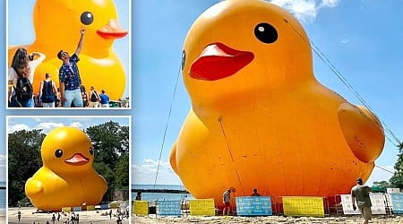 World's largest rubber ducky lands in New York this week