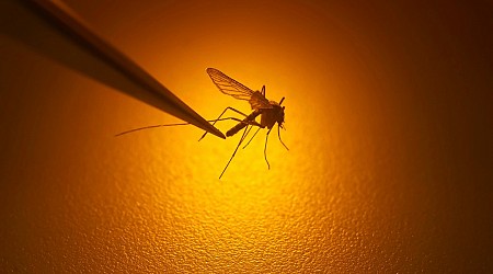 First cases of West Nile virus in New Jersey among earliest ever