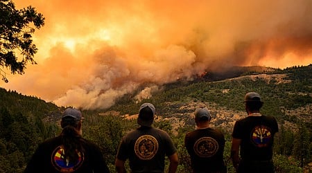 Wildfire smoke is probably harming your brain
