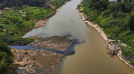 Severe drought has returned to the Amazon. And it's happening earlier than expected