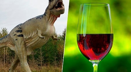 Un asteroide aniquiló a los dinosaurios hace millones de años. También fue clave para la creación del vino