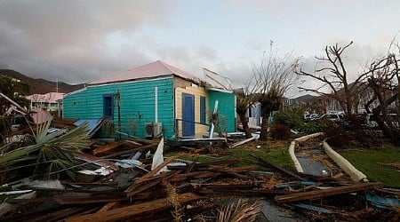 Black Artist Database teams up with Tottenham's MOKO on Hurricane Beryl fundraiser