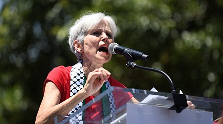 US candidate Jill Stein considering vocal Palestine advocates for VP spot