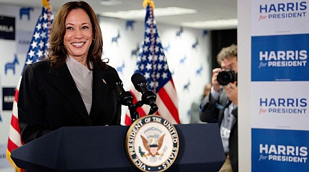 Kamala Harris: "Ich kenne Typen wie Donald Trump"