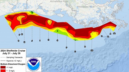Map Reveals Fish-Killing 'Dead Zone' Size of New Jersey in Gulf of Mexico