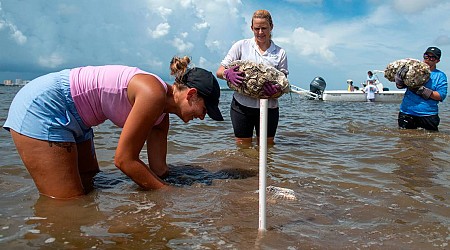 Students, Gulf Coast community come together to try and save our Mississippi Sound