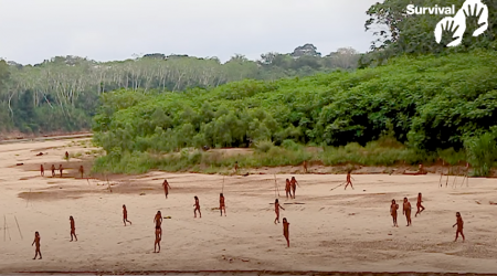 Appearance of Isolated Tribe Draws Worry in Peru