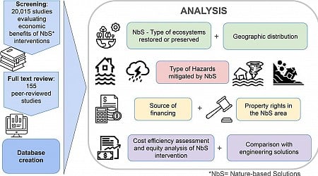 Nature-based solutions to disaster risk from climate change are cost-effective, study confirms