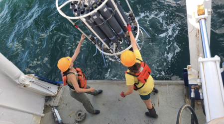 New Jersey-sized "dead zone" that can kill fish and marine life emerges in Gulf of Mexico