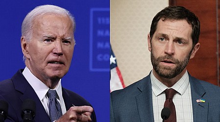 Biden took a swipe at skeptical House Democrat's military service during tense Zoom call, report says