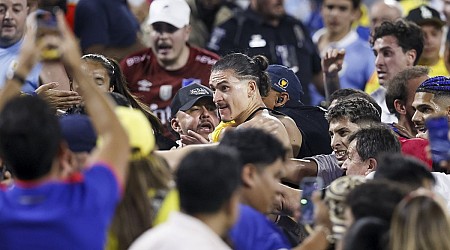 Uruguay soccer players fight Colombia fans in stands after Copa America loss