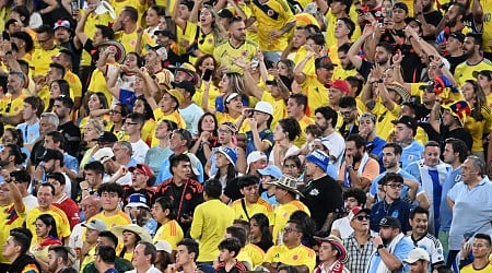 Videos Show Uruguay Players Fight With Colombia Fans After Game