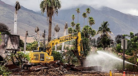 Residents rebuild and heal as Maui tourism struggles