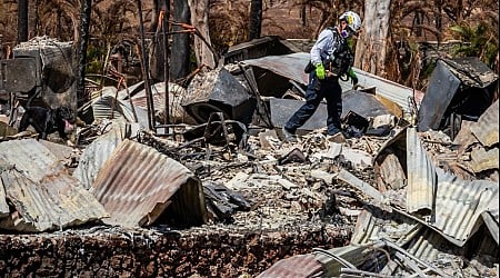 $4B settlement offer for Maui wildfire victims announced