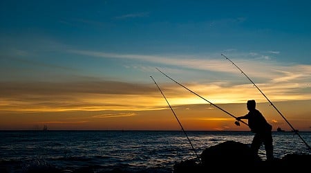 Global study demonstrates benefit of marine protected areas to recreational fisheries