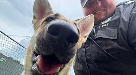 Dog in Hot Car in Indiana Honks Horn To Alert Police Officer to Save Her