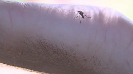 First Confirmed West Nile Virus Activity in Wisconsin