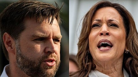 JD Vance admitted in private that Biden getting swapped out for Harris was like a 'political sucker punch'