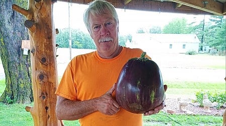 Iowa man harvests massive 8.33-pound eggplant