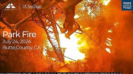 Wildlife camera captures its own death by California’s massive Park Fire
