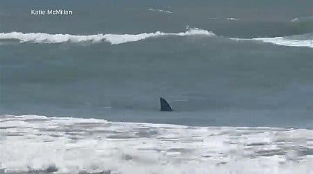 WATCH: 4 shark bite incidents in South Padre Island, Texas