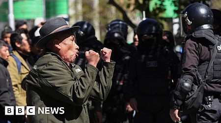 Bolivia governing party rivals in street brawl