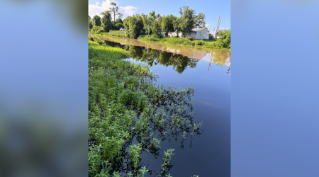 Oil spill by Louisiana energy company prompts water notice, kills wildlife, as diesel odor permeates bayou