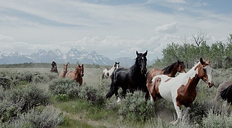 Wyoming offers to sell land to Grand Teton park -- or it could go to developers