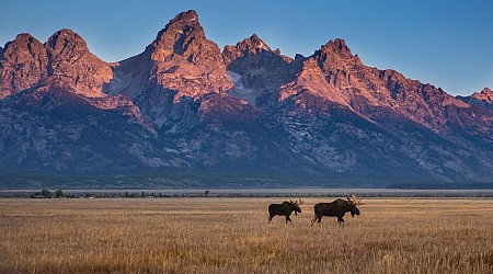 Seeking Summer Solace Atop America’s Serengeti