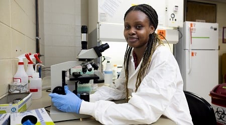 Kenyan crop contamination outbreak inspires grad student to improve rice storage