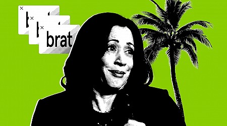 Joe Biden Lost The Internet. Kamala Harris Is Trying to Win it Back