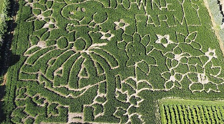 Farmers honor ‘Peanuts’ creator with corn mazes across U.S. and in Canada