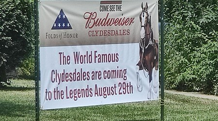 Budweiser Clydesdales coming to Kansas City