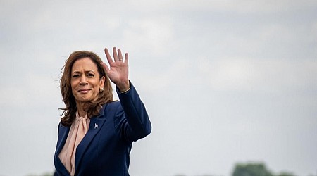 Kamala Harris Confronts Protesters at Wisconsin Rally: "If You Want Donald Trump..."