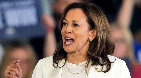 Kamala Harris rally in Michigan interrupted by pro-Palestinian protesters