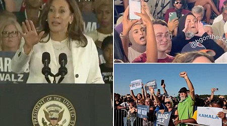 Kamala Harris scolds anti-Israel hecklers in Michigan