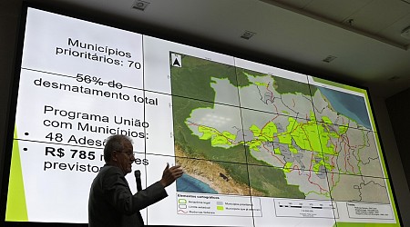 Deforestation in Brazil's Amazon rainforest is down to lowest level since 2016, government says