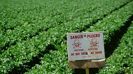 The Pesticide Industry's Toxic Lobby