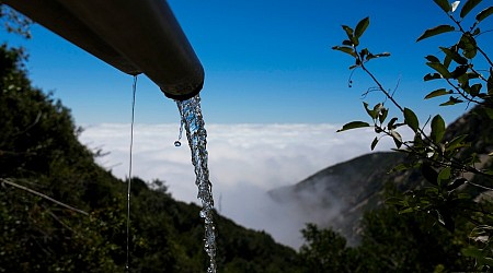 Arrowhead water bottler ordered to stop operations in San Bernardino Mountains