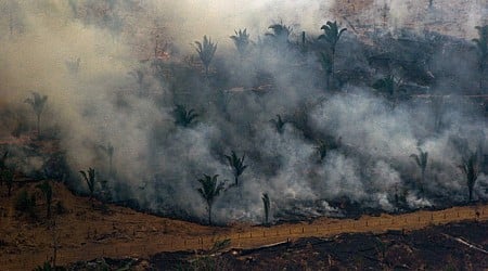 Deforestation in Brazil’s Amazon rainforest down to lowest level since 2016, government says