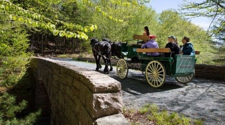 An Acadia tour for wheelchair users, plus outdoor fun in Colorado