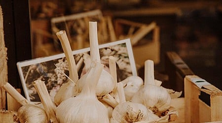 Celebrate All Things Garlic At The Minnesota Garlic Festival 2024