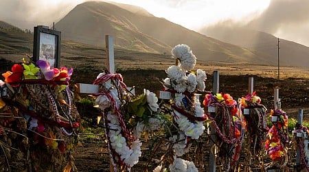 Katastrophe: Inferno im Paradies: Jahrestag der tödlichen Brände auf Maui