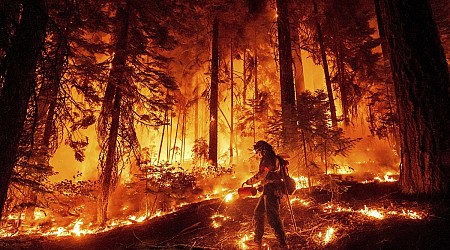 Huge California wildfire chews through timber in very hot and dry weather