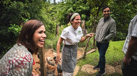 Hurricane to hope: The story of Puerto Rico’s rebirth and regeneration