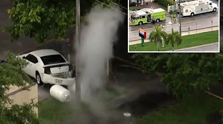 Cafeteria manager crashes into propane tanks at Florida school