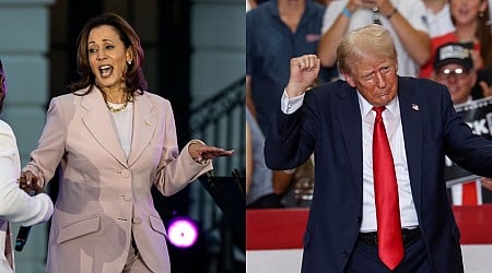 What Kamala Harris and Donald Trump's music choices say about the 2024 race