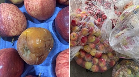 State, federal officials to inspect 'ridiculous' apple waste in NYC schools