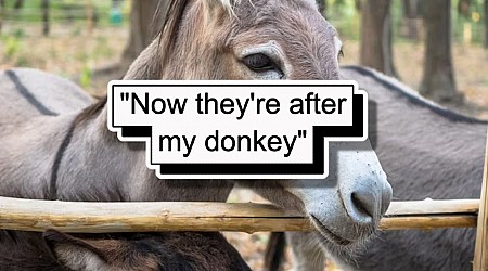 'HOA tries to get a restraining order against my donkey': HOA sues resident on grounds that his emotional support donkey is decreasing the property value