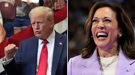 Voters think Trump will make them richer, but trust Harris on economy: poll